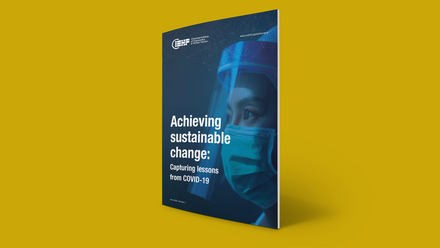 Publication Achieving Sustainable Change.png
