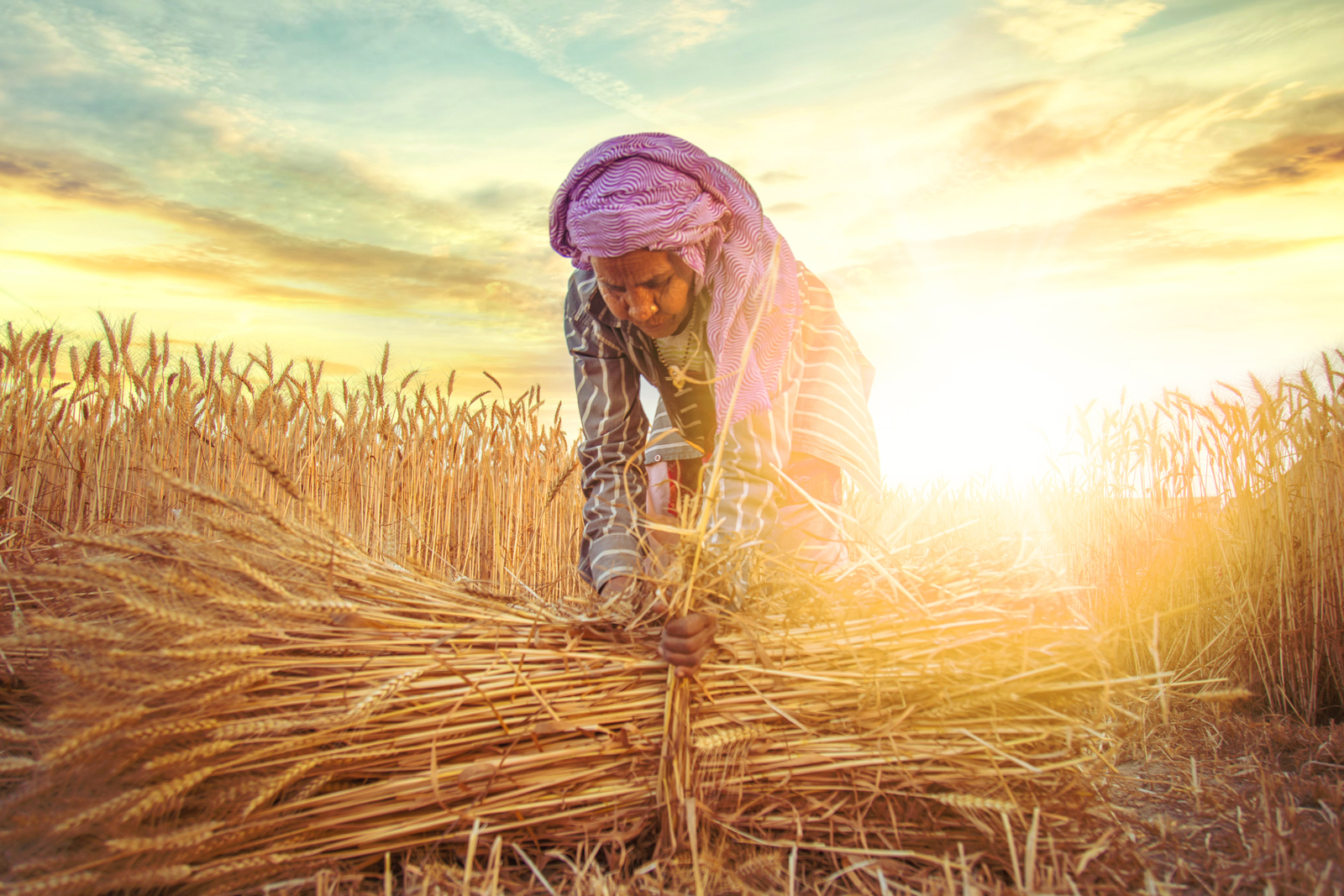 02-indian-woman-corn_1071501710.jpg