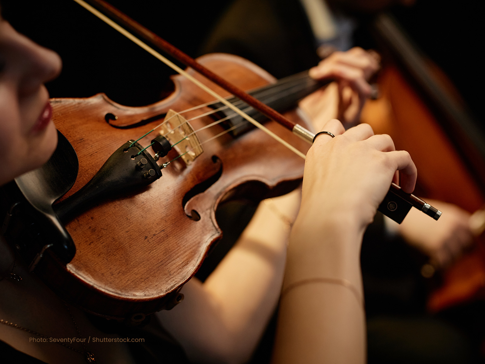 01-Violin-player_2499307679.jpg